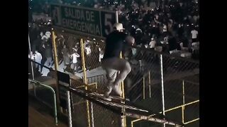 funny viral viral