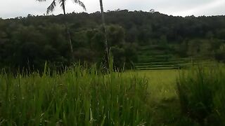 Pemandangan