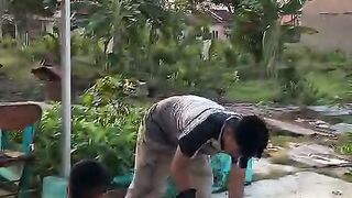 Pakan alternatif ikan laut, dicacah dulu lalu direbus sampai matang