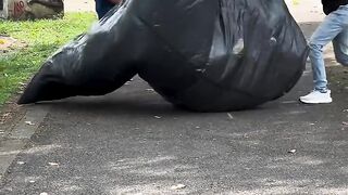 funny funny viral viral