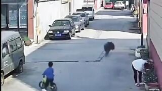 viral funny