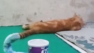 Si oyen yang malas