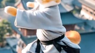 kung fu training