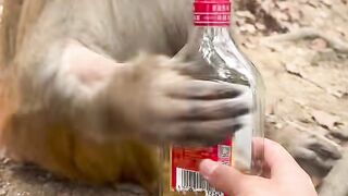 Drink it all in doubt