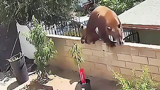 almost die