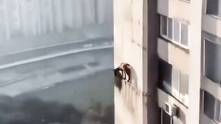 Funny video#shorts
