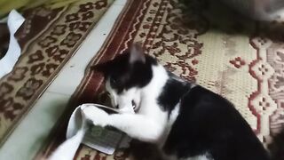 Ini kalau baru main lucu banget