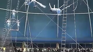 Hard Working Circus