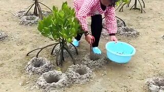 Kisan ke santre ke kheton mein Mila khekada