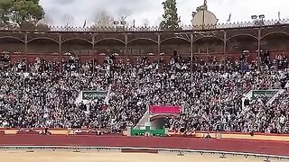 Amazing skills
