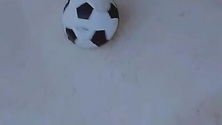 My lovely dogs playing time