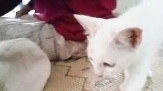 Cara EMPUS minta makan
