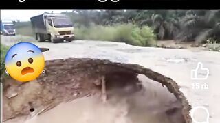 Viral#viral#viral