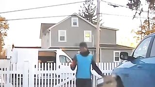 Funny DOG #press play
