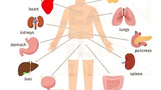 Body parts