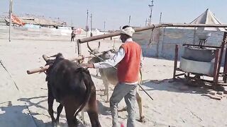 गांव के किसान
