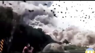 Жизнь