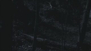 Teen Wolf 1x2