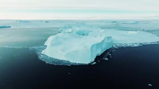 Makanan Eksotis Greenland‼️paus dan beruang kutub viral.