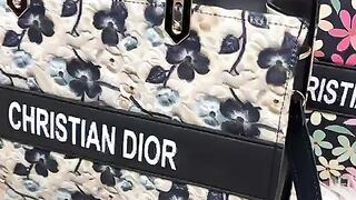 Christian Dior ladies purse