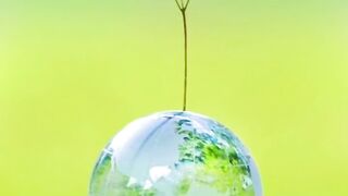 Save the plants...animals..water and earth ????