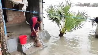 Amazing Fishing at Home