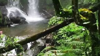 Beautiful nature