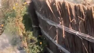 Jaguar omg viral viral horror omg
