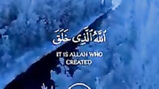 #عبد_الرحمن_مسعد.mp4