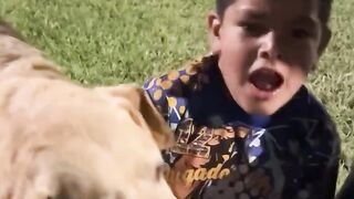 #funny#2025#dog#press play