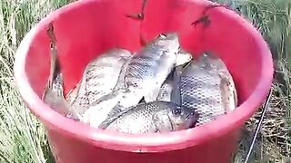 Fishing form saodi Arab altaif city