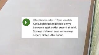 tinggikan tingkat sabar jika mau belajar pemijahan lele