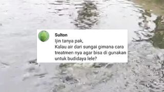 Begini cara memproses air sungai agar aman digunakan budidaya lele