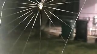 Unique movement capcher
