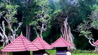 Kerala village