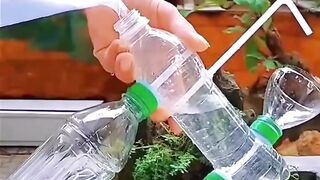 Entertainment video