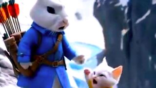 Rabbit rescue the cat