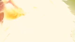 Cute cat short video
