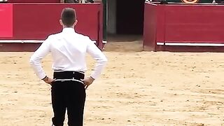 Toro Arena Valencia Spain