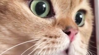 He want to say something