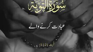 Humans who are the Real Successful in the Light of Qur'an