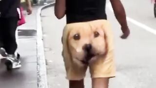 Dog style pants????