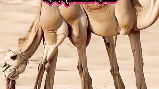 کسی کا نا حق مال کھانا