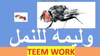 وليمة للنمل