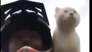 Прикольно