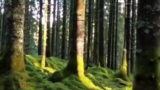 Beautiful nature