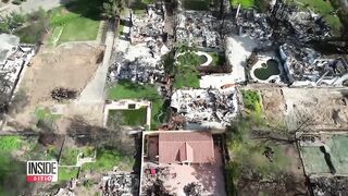 Pools in LA Burn Zones May Be Breeding Grounds for Dangerous Mosquitoes.