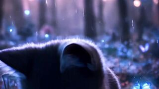3d animation cat ???? video