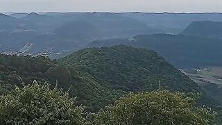 Lush landscape encountered during the trip