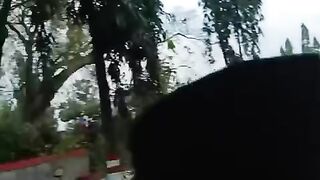 Pohon tumbang